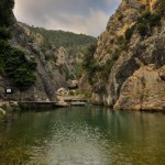 _DSC0029