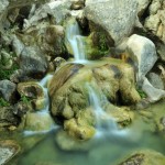 _DSC0050