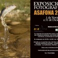 Durante los meses de noviembre y diciembre de 2011, la exposición colectiva de ASAFONA 2011 estará disponible en el Centro...