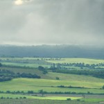 DSC0016