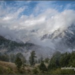 IMG_8462-n2